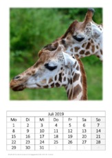 Juli_Giraffe.pdf